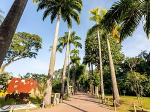 Camisa da Seleção Brasileira proporciona entrada dupla no BioParque